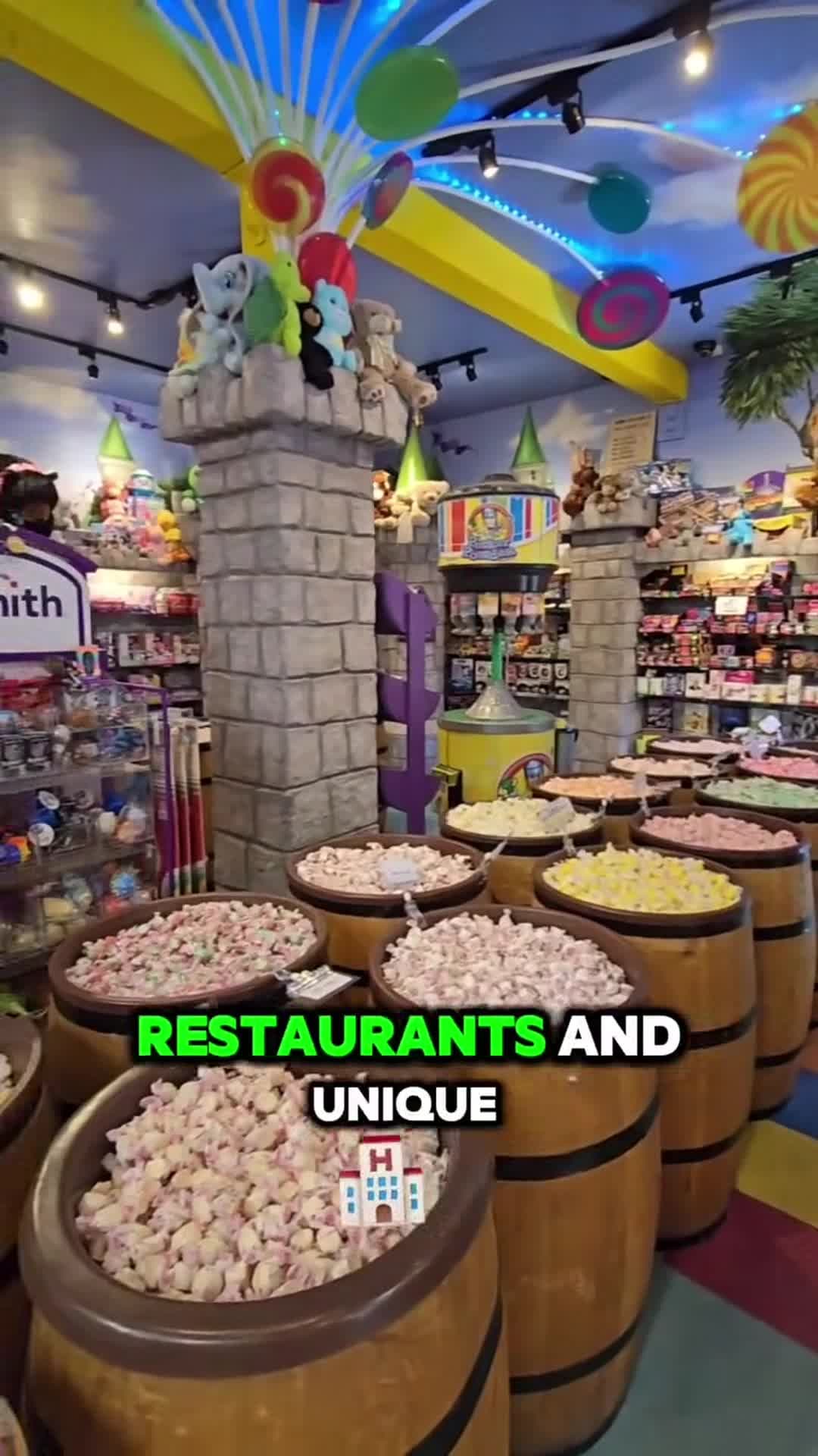 Video realizado por la propiedad