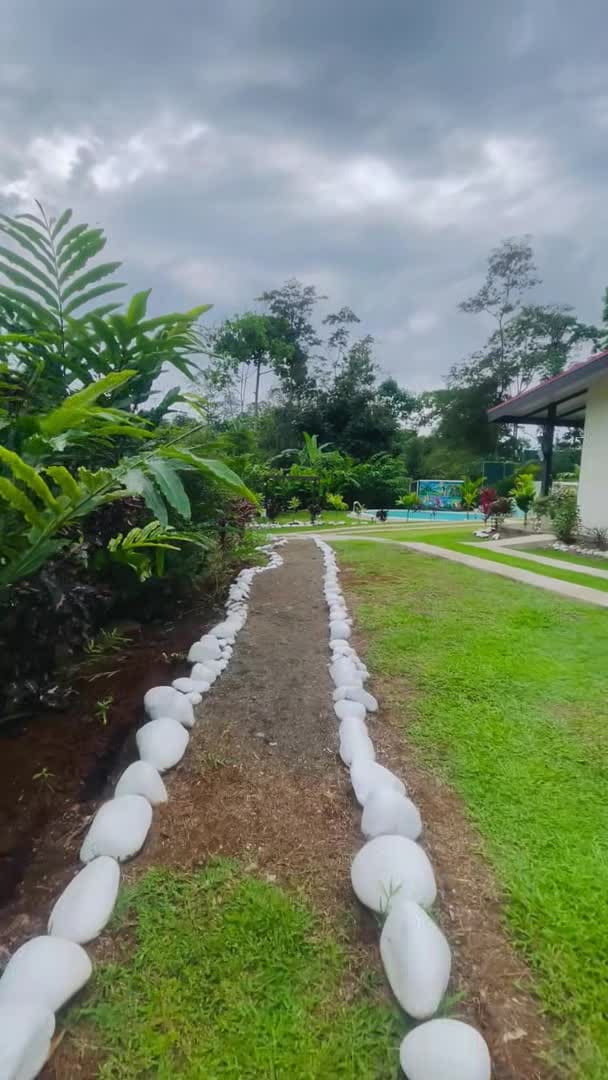 Property video