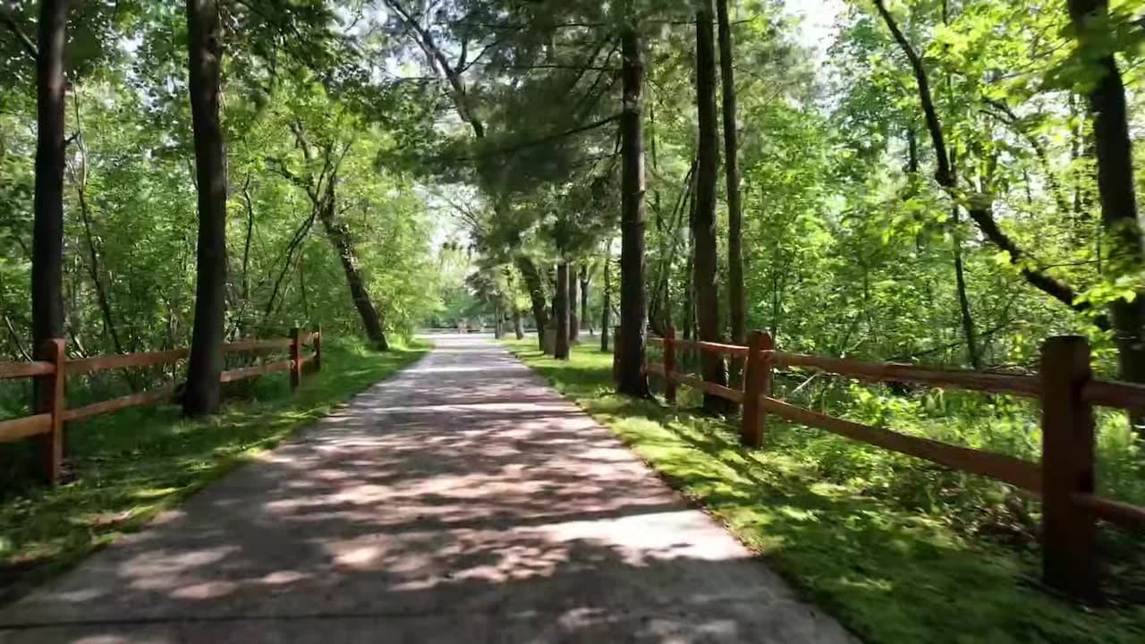 VidĂ©o de lâhĂ©bergement