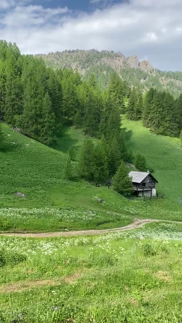 Property video