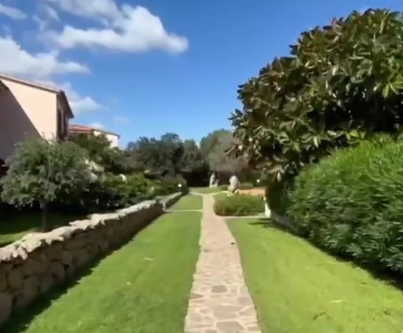 Video struttura