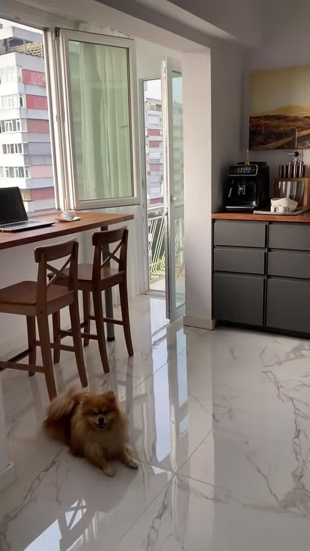 Property video