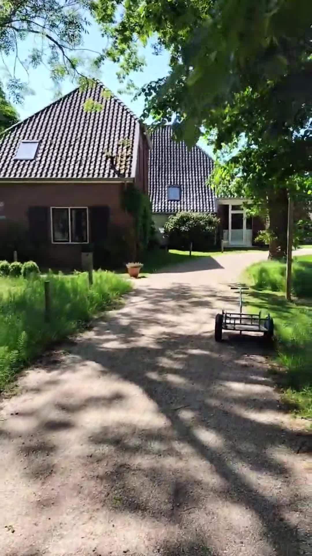 Property video
