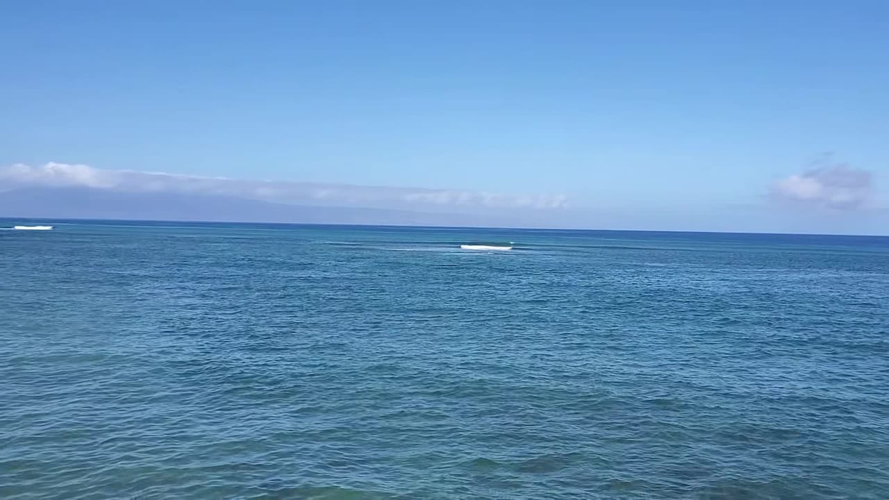 宿泊施設による動画