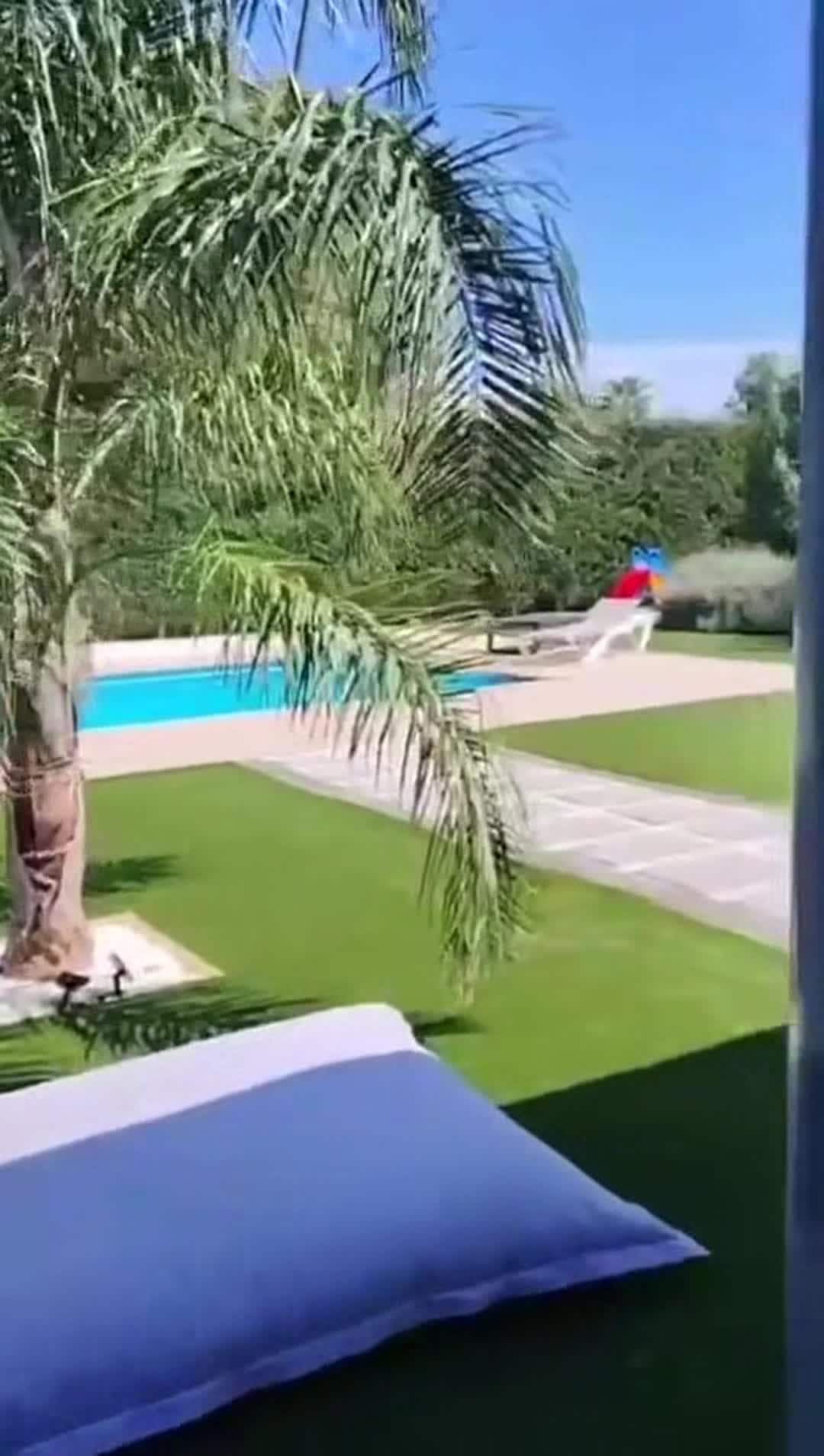 Property video