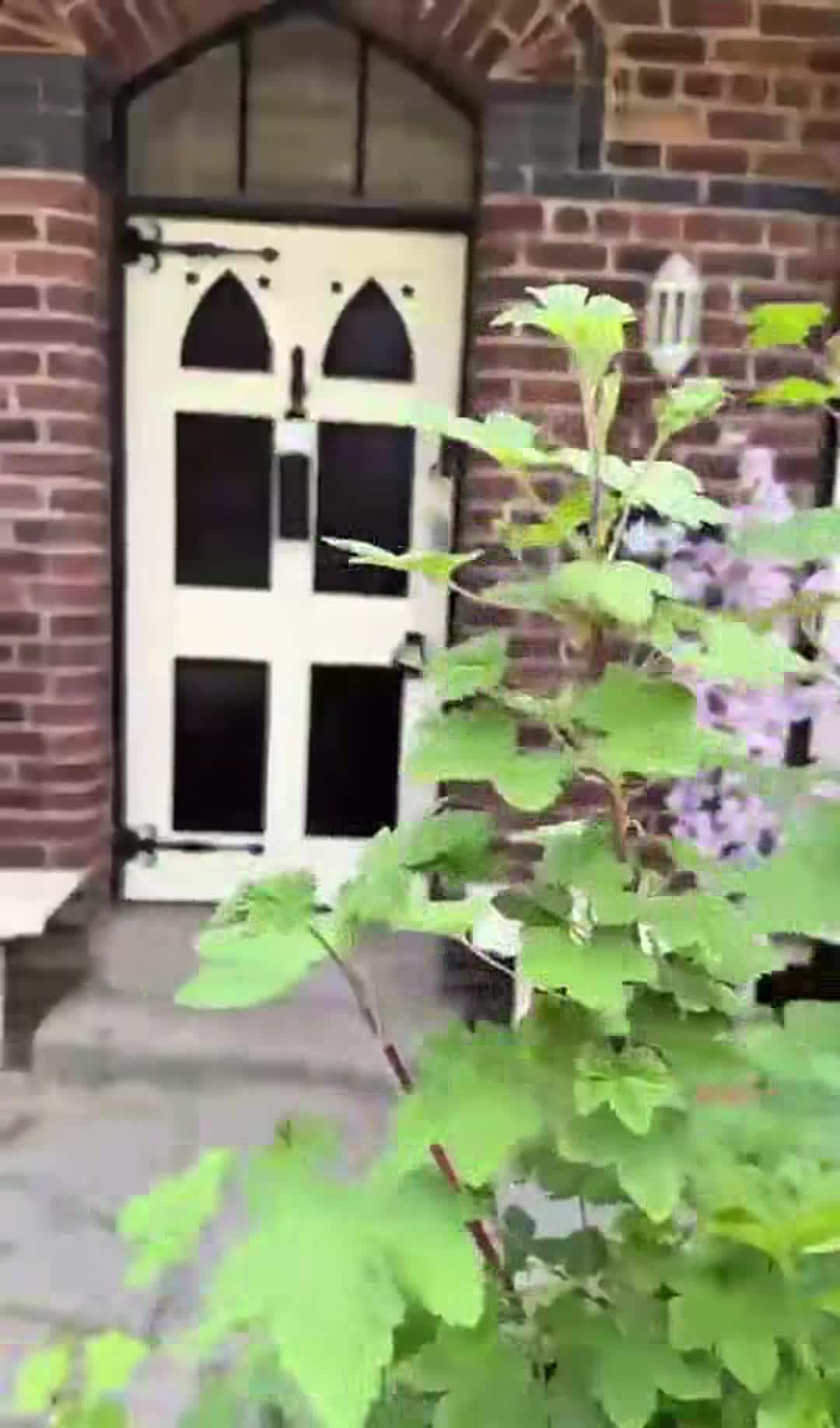 Property video