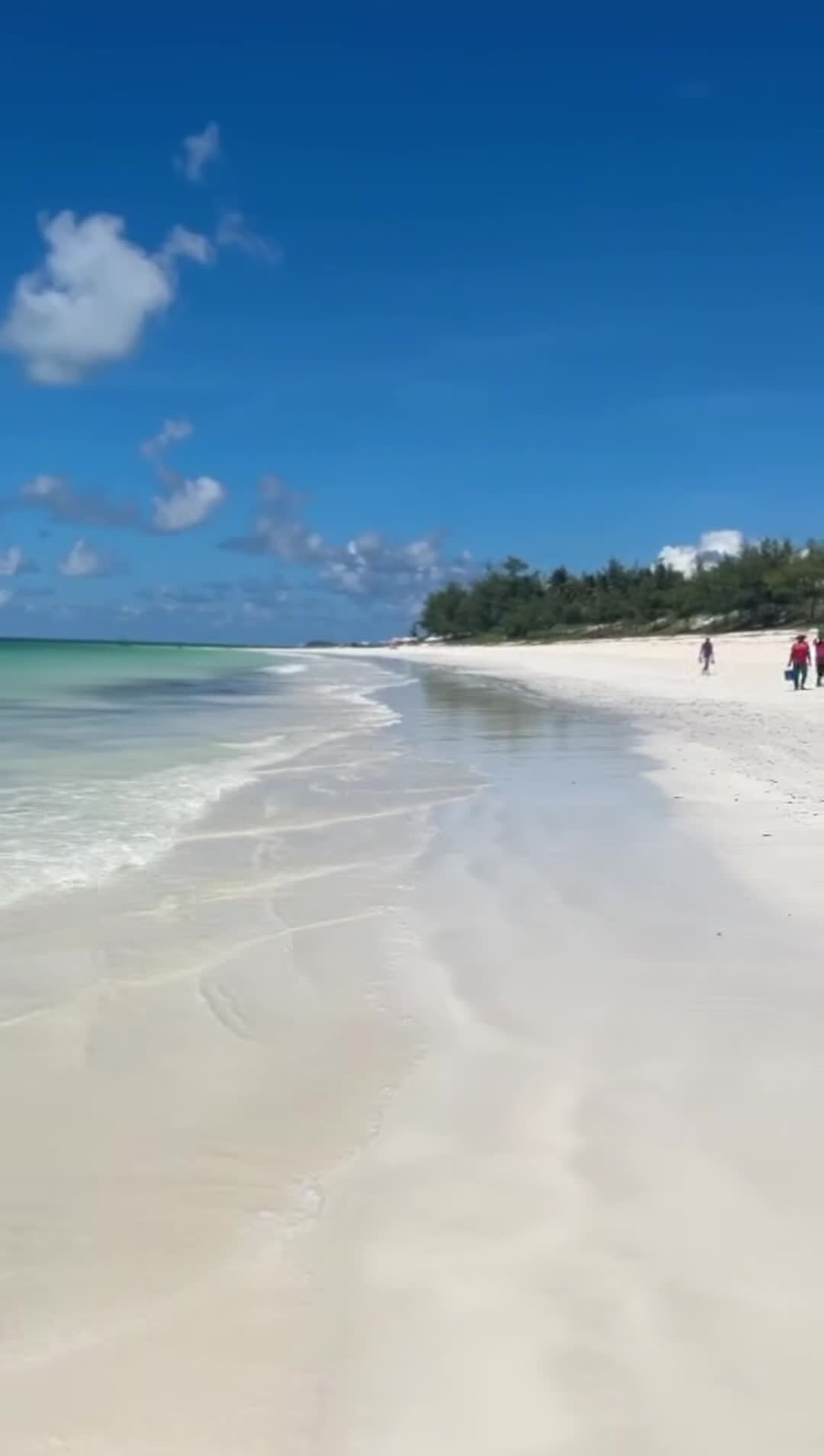 Video der Unterkunft