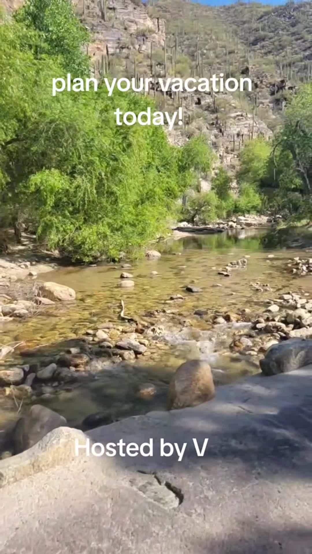 VidĂ©o de lâhĂ©bergement
