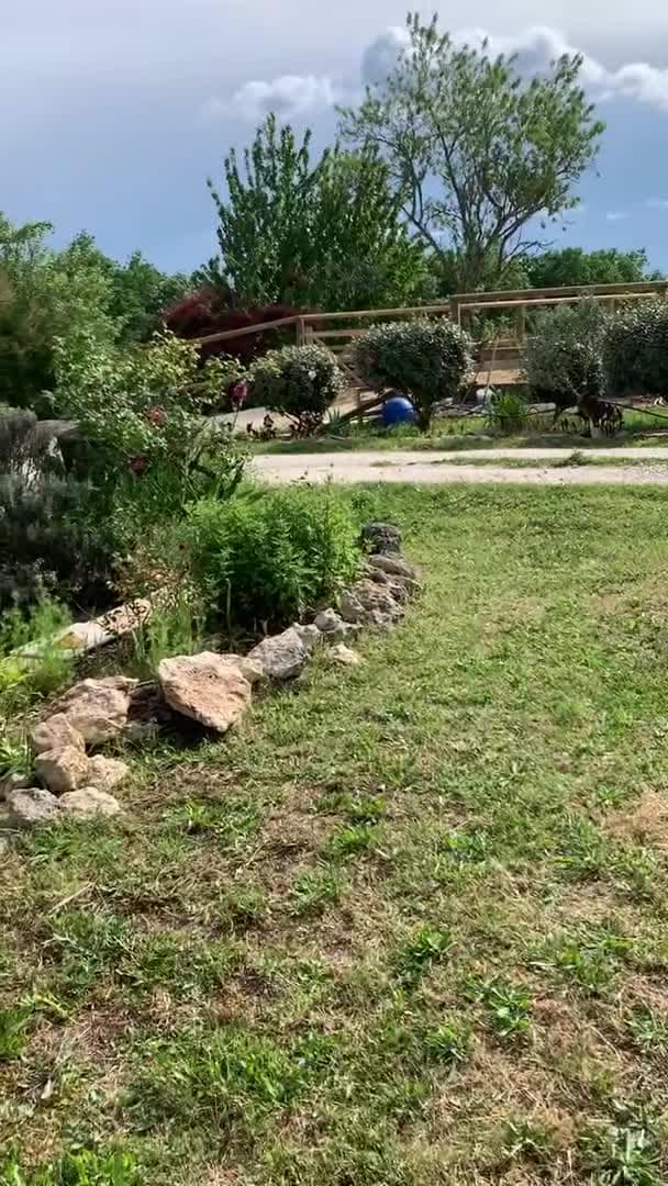 Property video