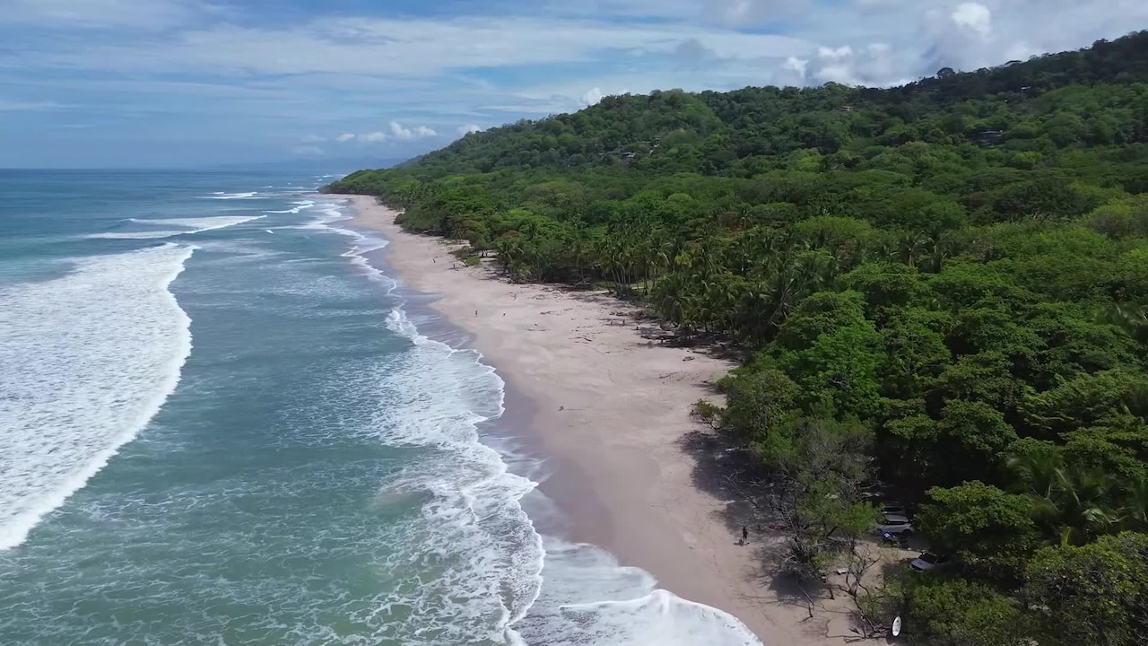 Property video