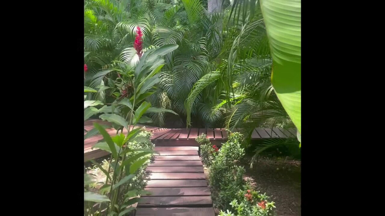 Majoituspaikan video