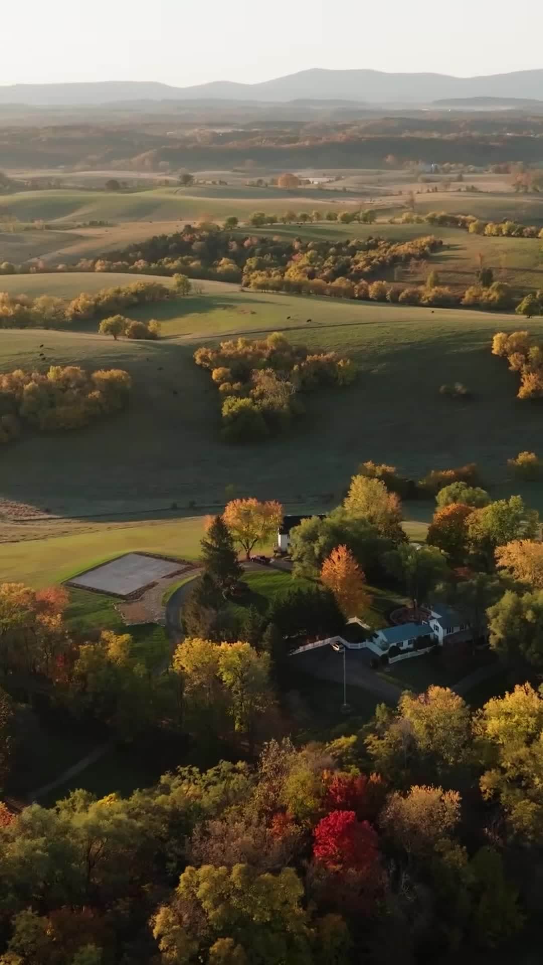 Property video