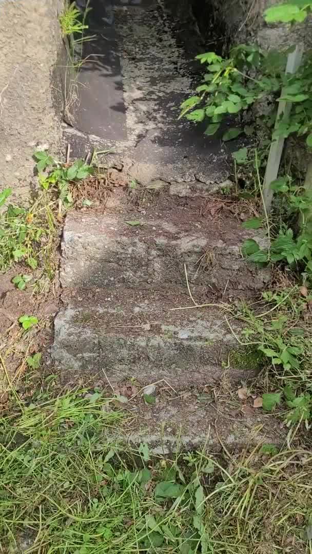 Video der Unterkunft