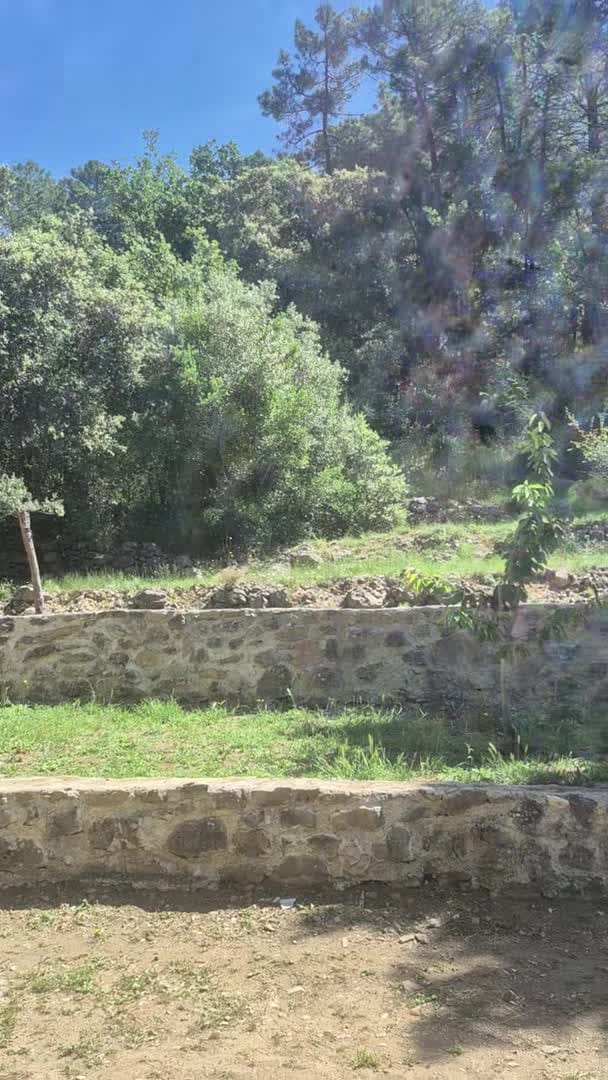 Vidéo de l’hébergement