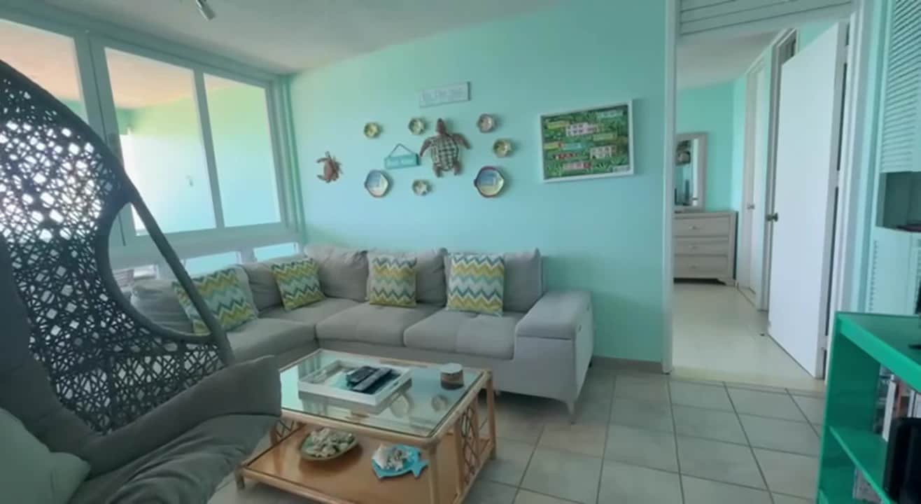 Property video