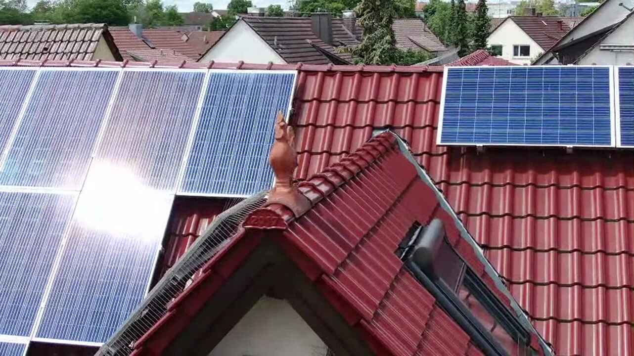 Property video