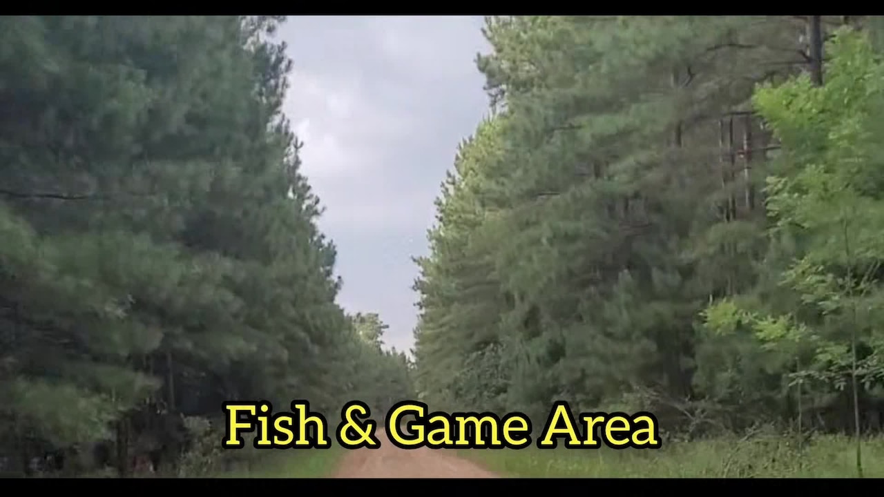 Vidéo de l’hébergement