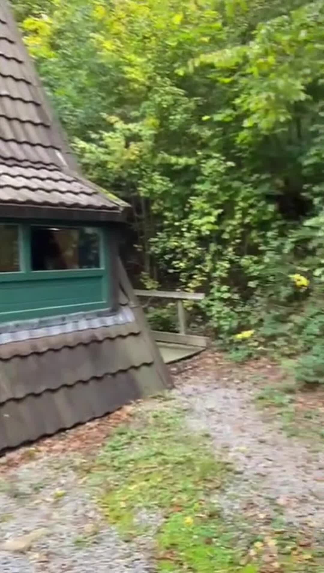 Video realizado por la propiedad