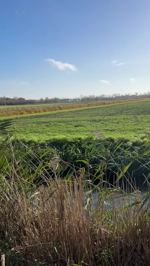 Vidéo de l’hébergement