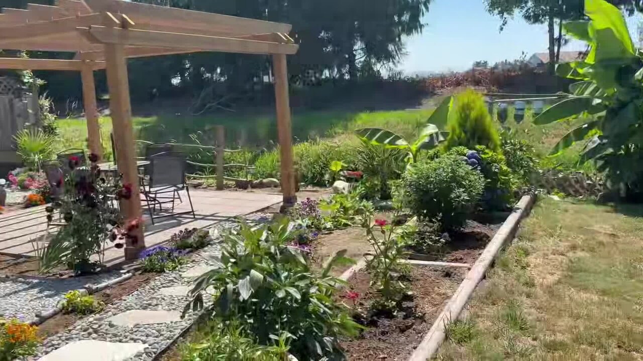 Video struttura