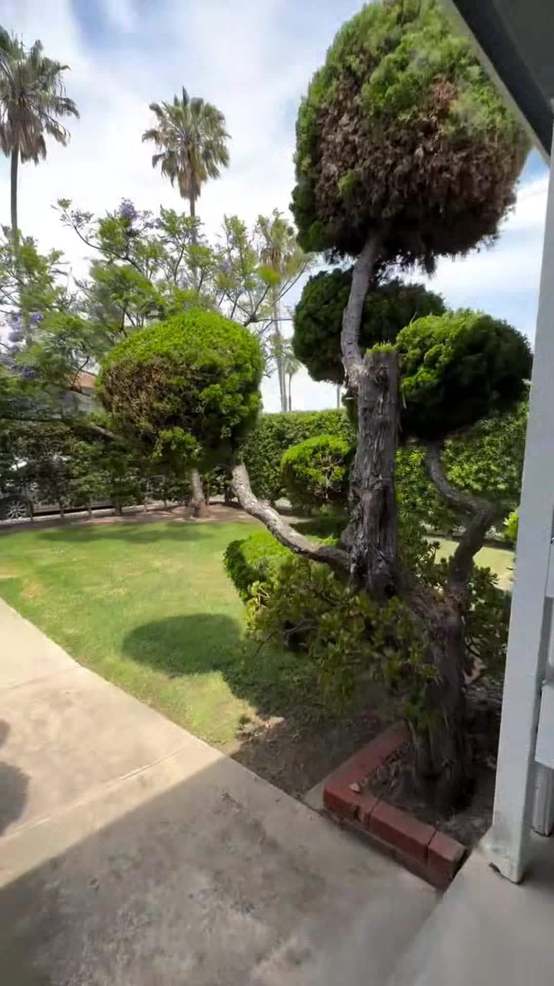 Property video