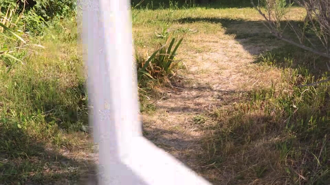 VidĂ©o de lâhĂ©bergement