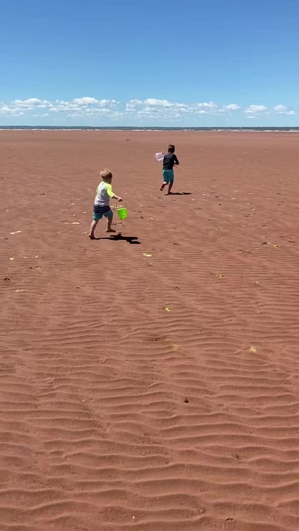 Vidéo de l’hébergement