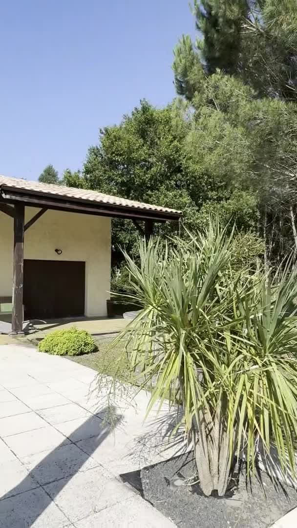 Property video