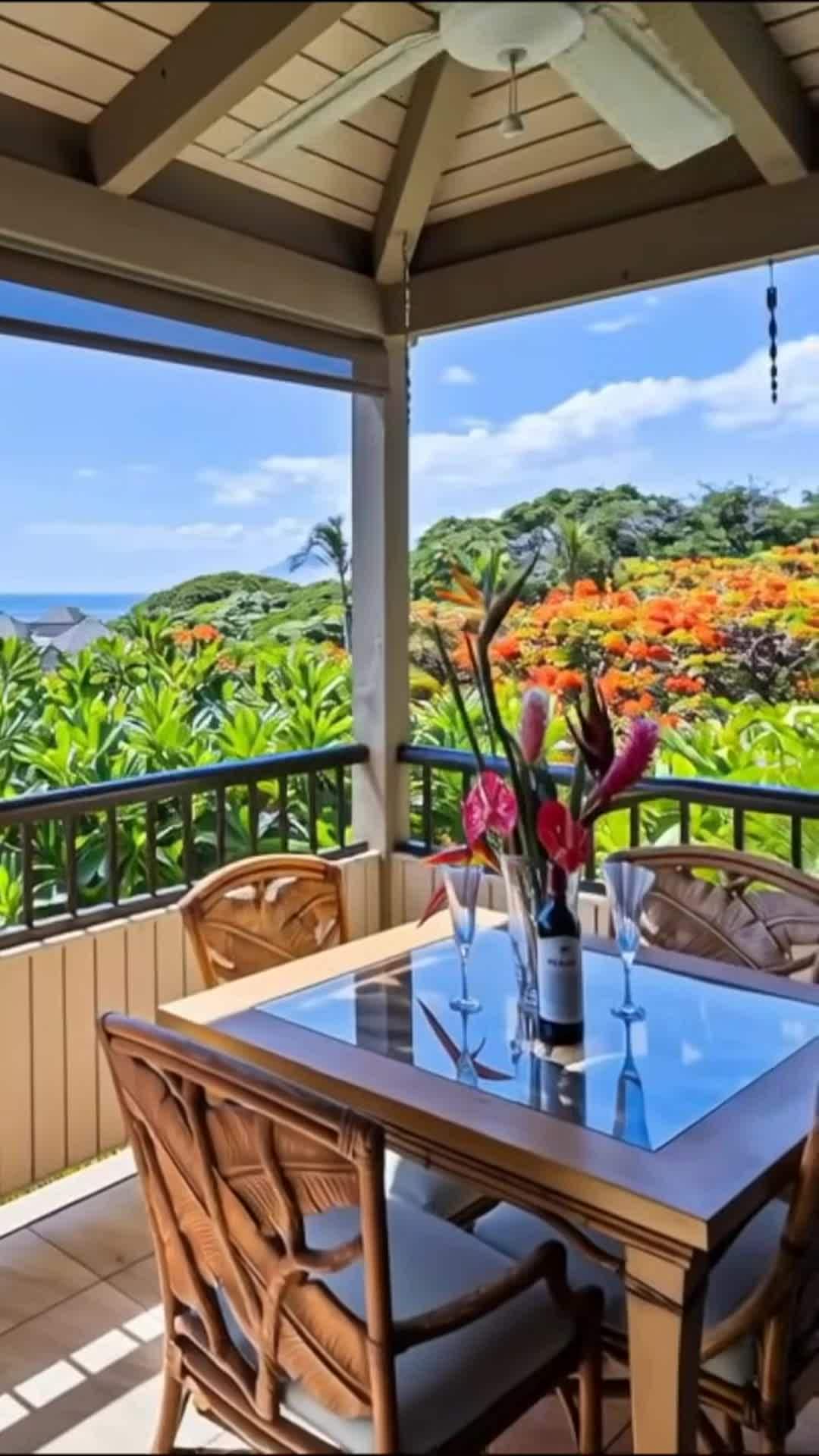 Property video