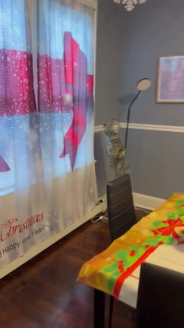 VidĂ©o de lâhĂ©bergement