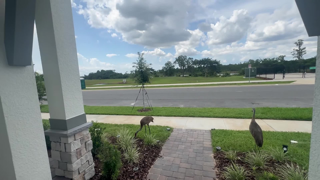 Property video