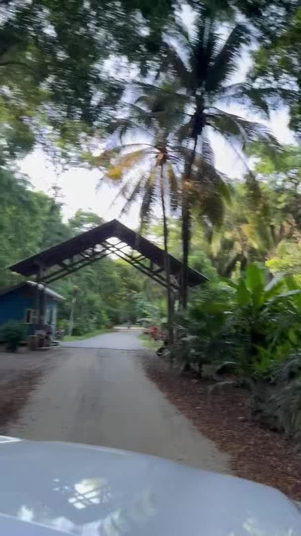 Property video