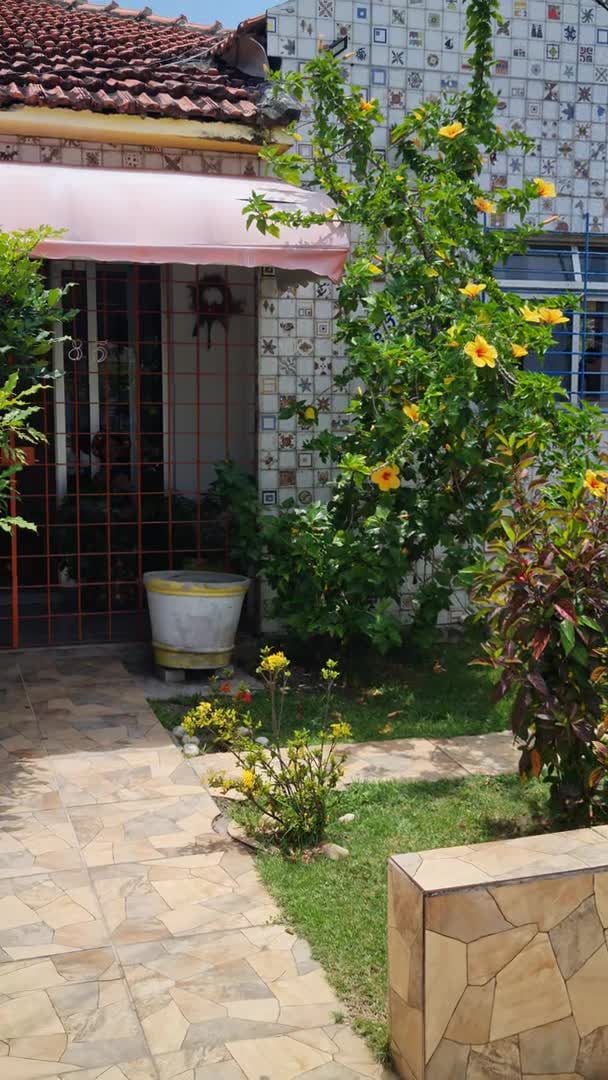 Video realizado por la propiedad