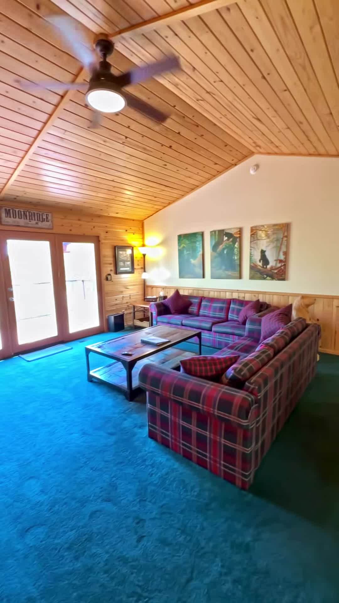 Property video