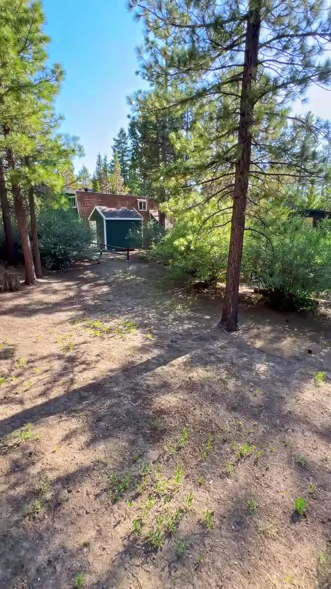 Property video