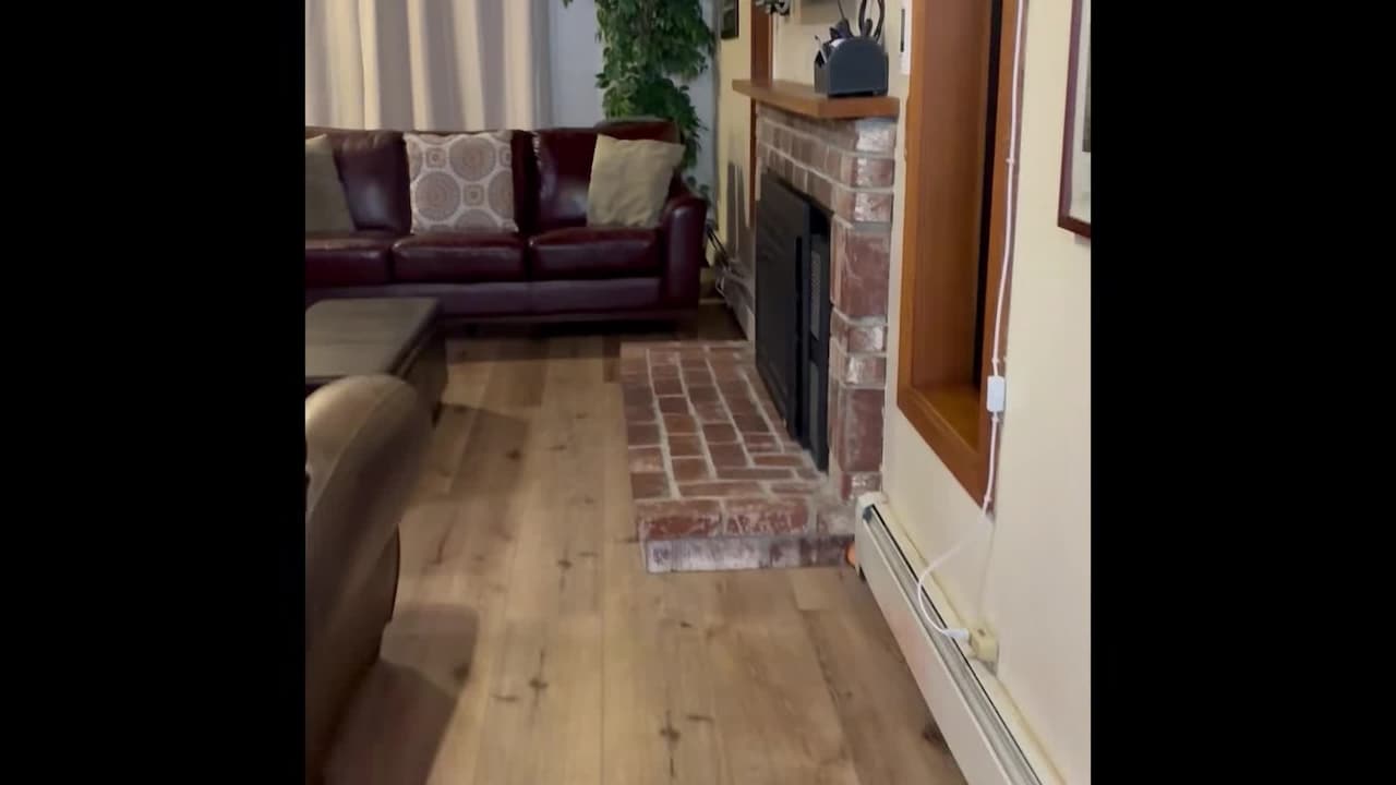 Video der Unterkunft