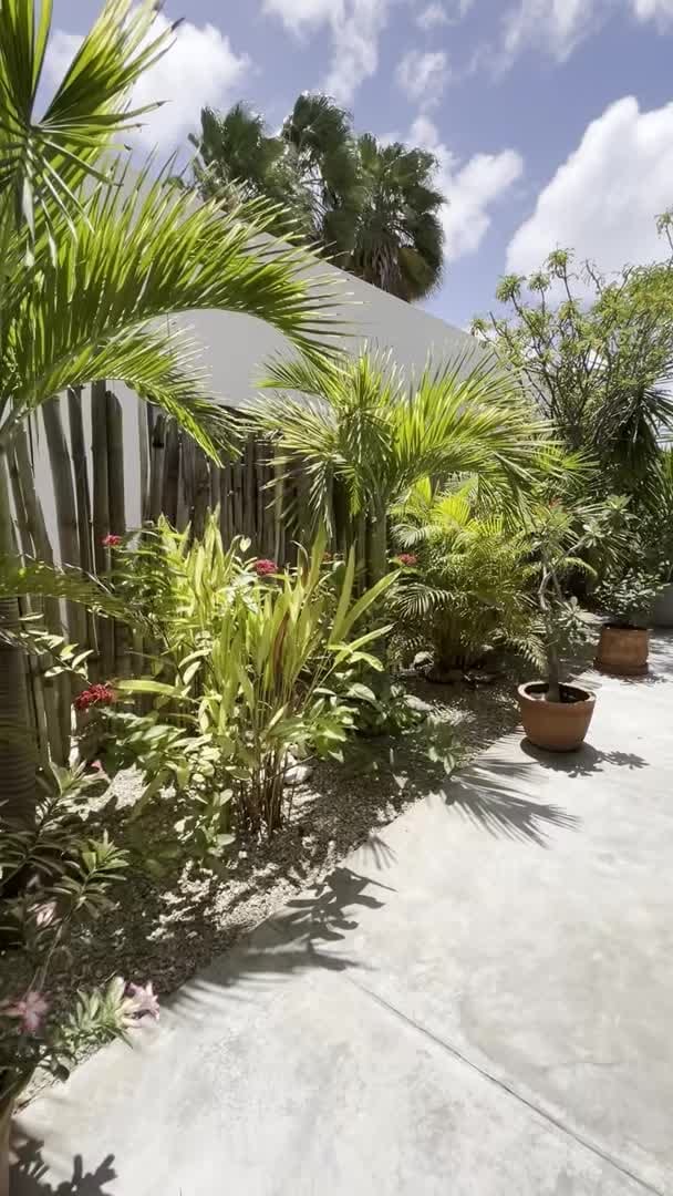 Property video