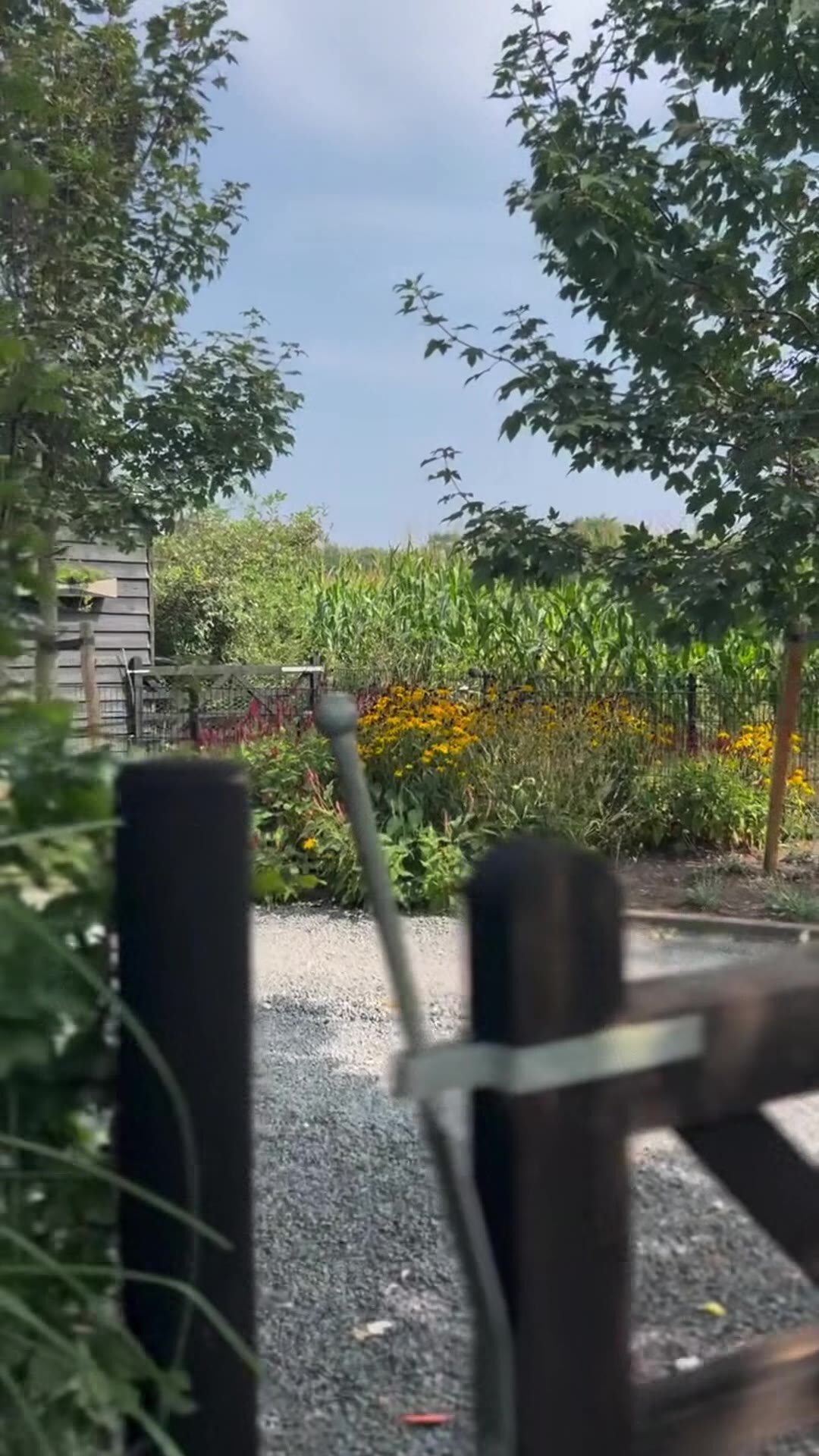 Property video