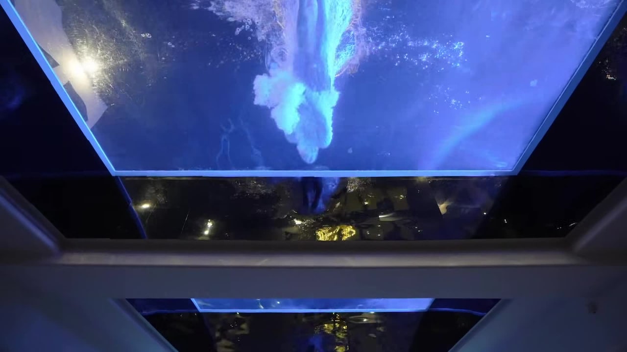 فيديو المنشأة الفندقية