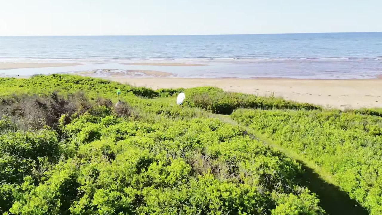 Video der Unterkunft