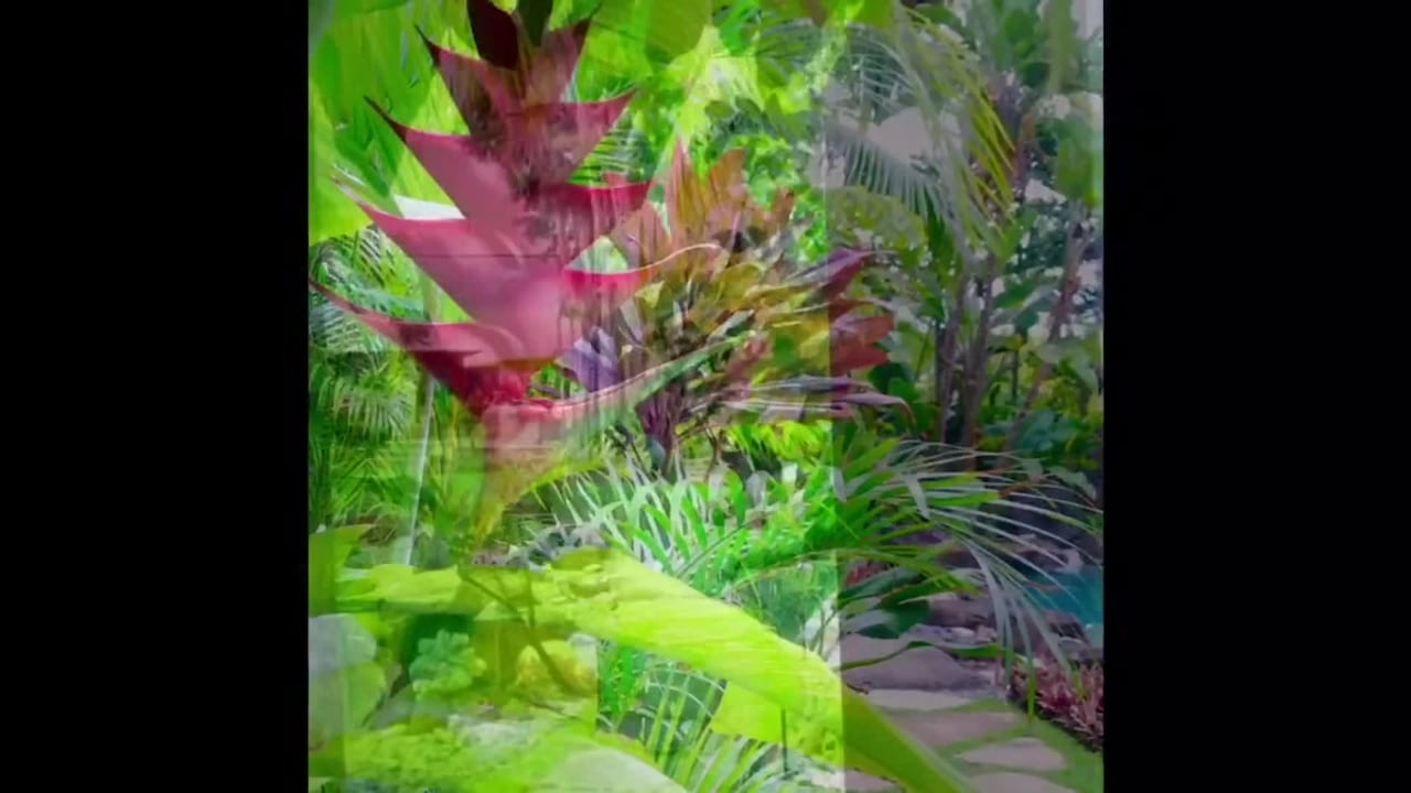 VidĂ©o de lâhĂ©bergement