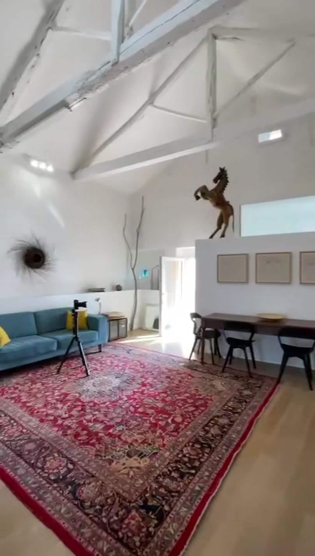 Property video