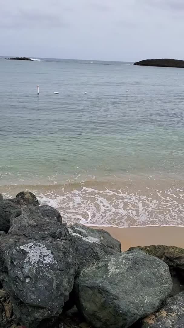 Vídeo da propriedade