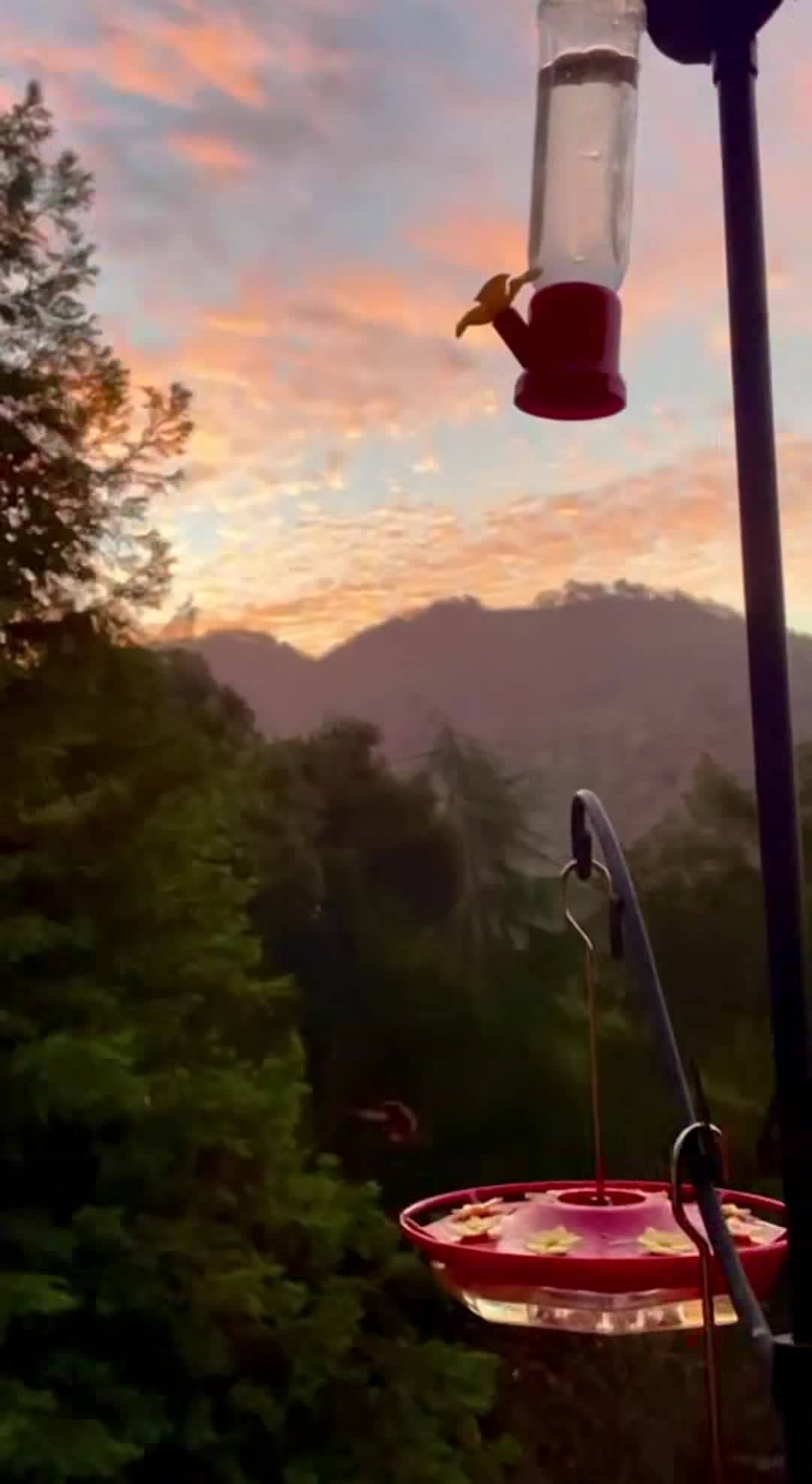 Video realizado por la propiedad