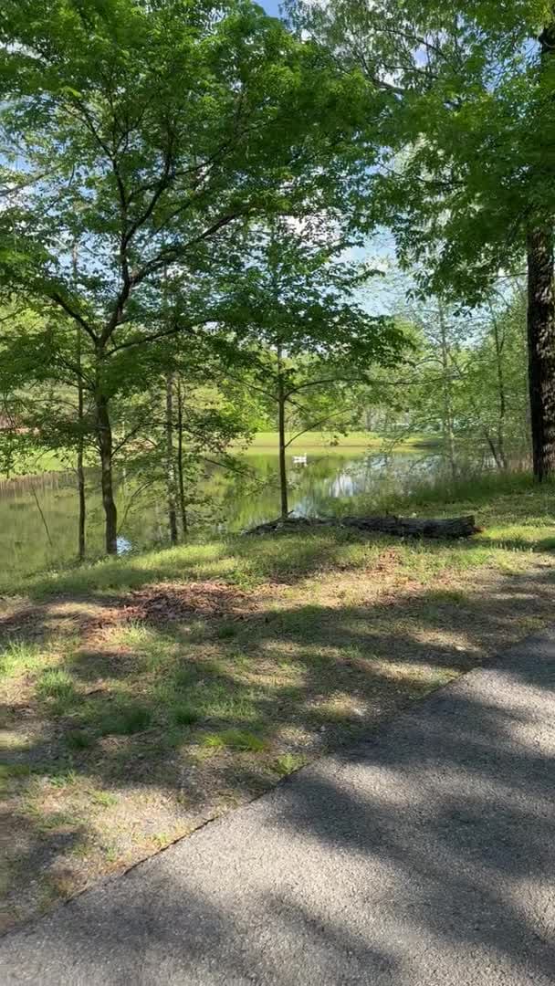 VidĂ©o de lâhĂ©bergement