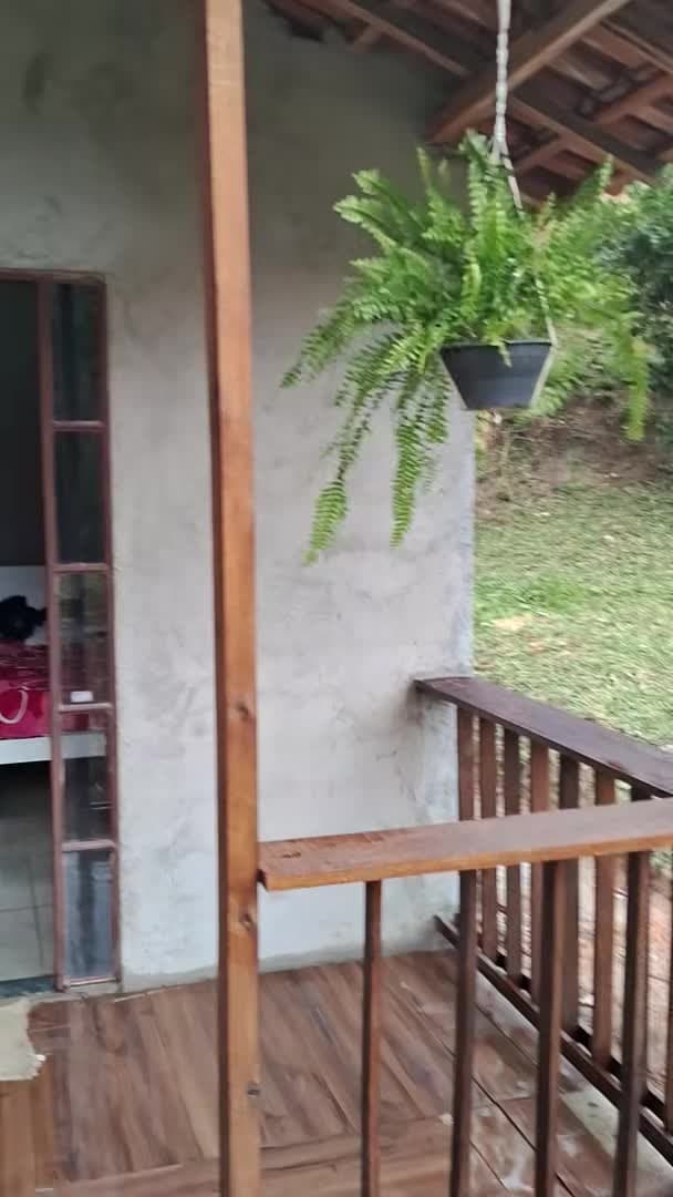 Video realizado por la propiedad