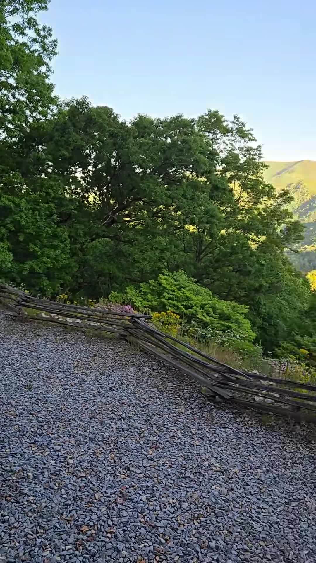 Property video