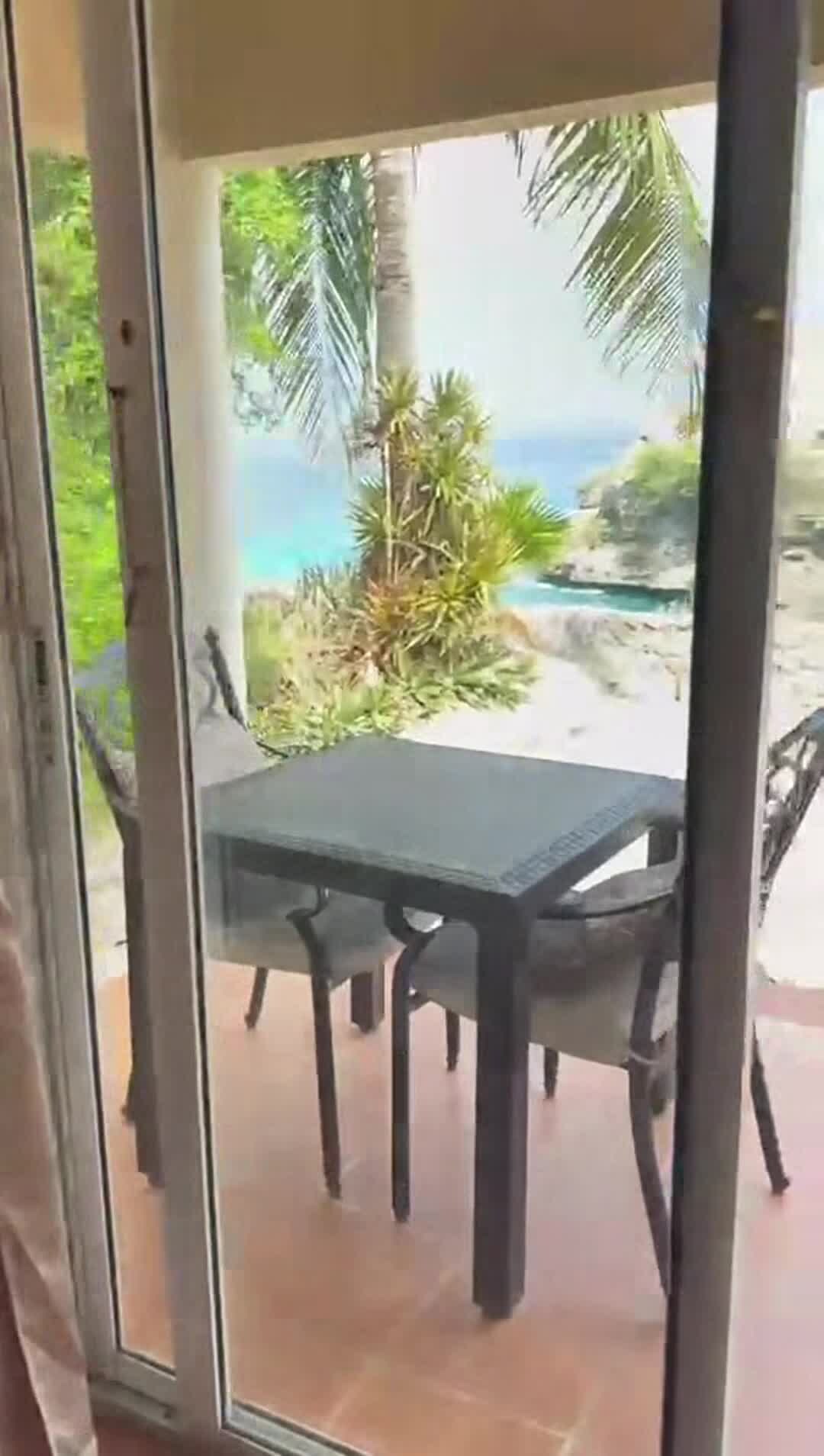 فيديو المنشأة الفندقية