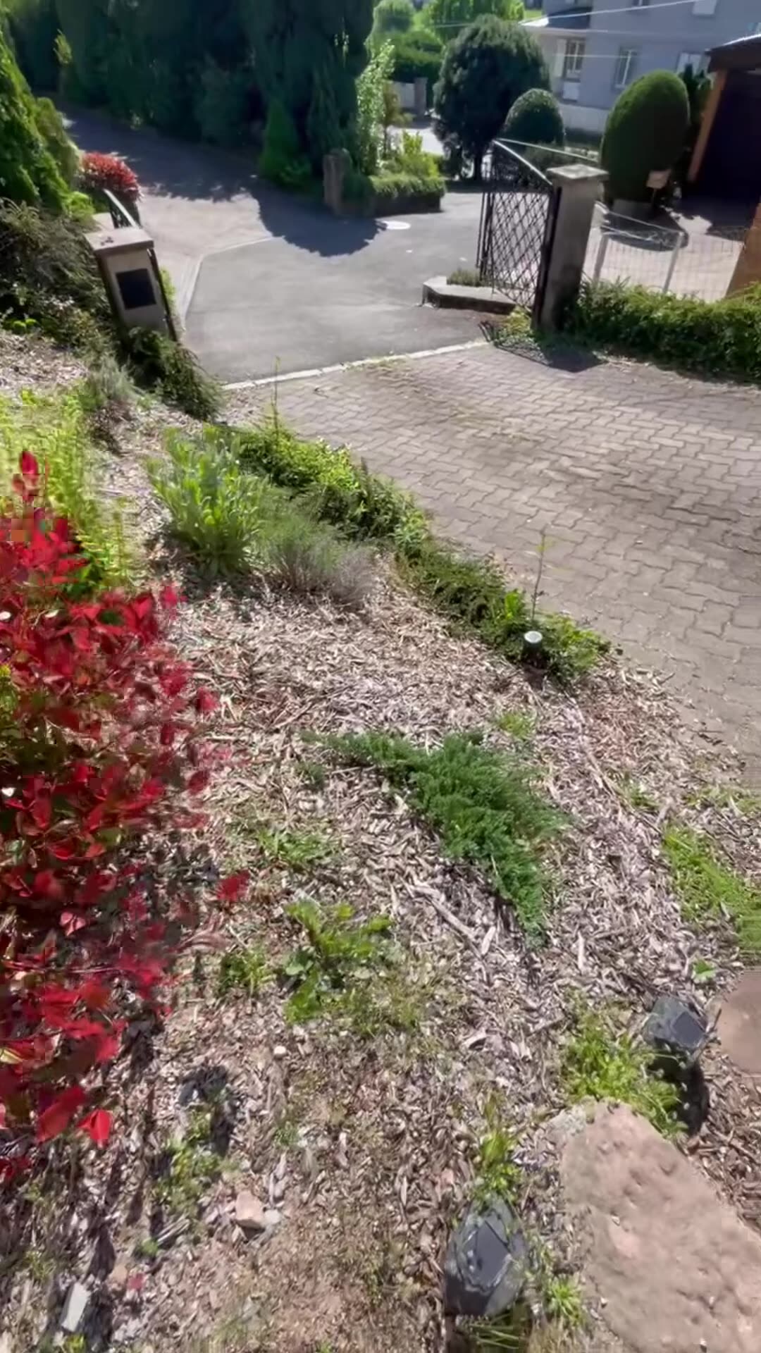 Video realizado por la propiedad