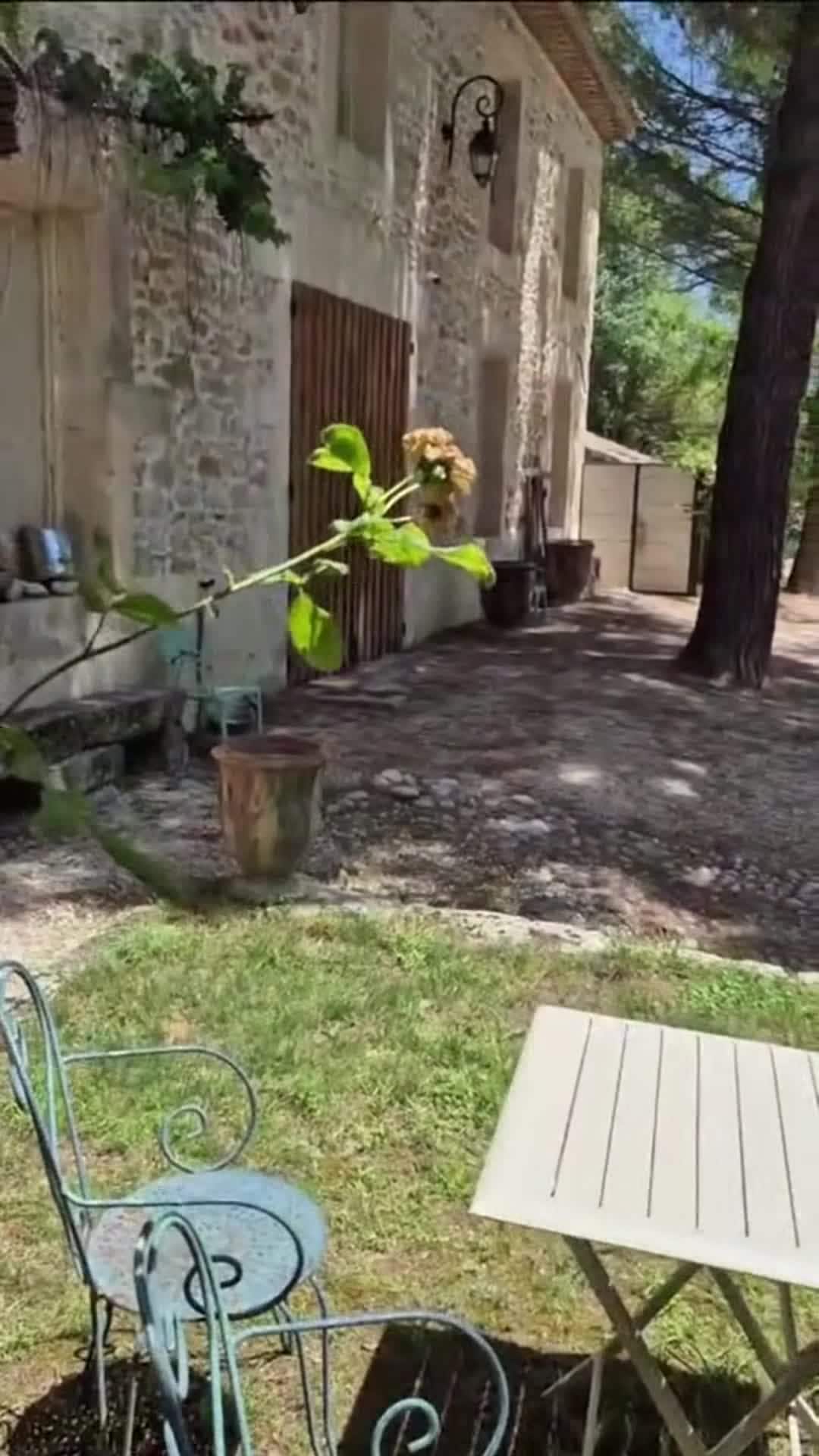 Property video